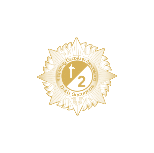 Thomas Francis Meagher Infantry Battalion